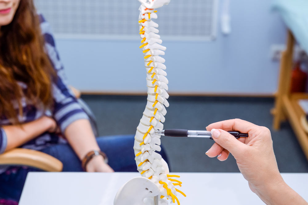 doctor pointing on spine model and explaining female patient her problem