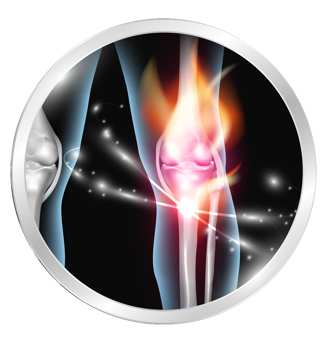 Knee joint